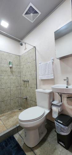 Dulce NombreLa Casa del Rualdo的浴室配有卫生间、淋浴和盥洗盆。