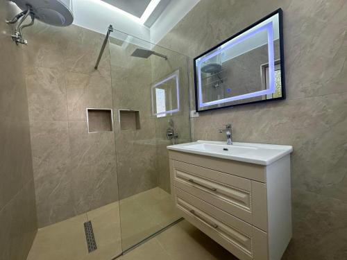 培拉特Algen Room's的一间带水槽和淋浴的浴室