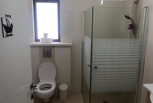 Midrakh ‘Ozסוויטת מגידו的一间带卫生间和窗户的浴室