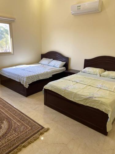 米尔费the beach house的一间卧室设有两张床、一个窗户和一个地毯。