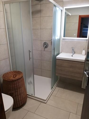 Gorenja VasHoliday Home NA VASI的带淋浴、盥洗盆和卫生间的浴室
