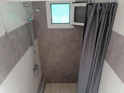 尼基季Porto Almira Studio的带淋浴帘和窗户的浴室