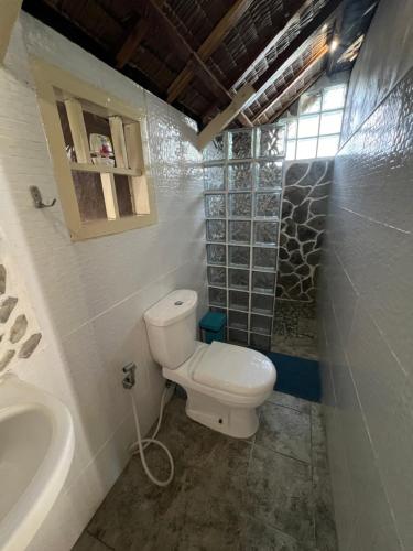 圣维森特Lunazul Guesthouse的一间带卫生间和水槽的小浴室