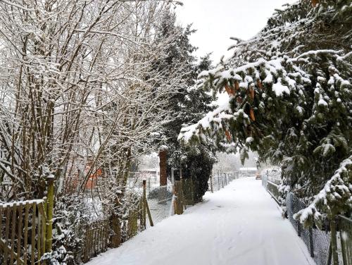 RoxheimTiny House的一条带围栏和树木的雪覆盖的小巷