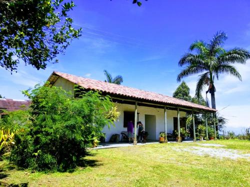 瓜杜阿斯El Vergel Guaduas的棕榈树白色的小房子