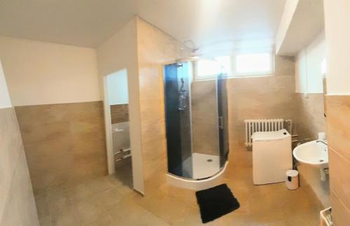 梅尔尼克LEV I SOVA的带淋浴、卫生间和盥洗盆的浴室