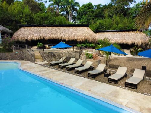 比列塔Jungla EcoLuxury Resort的毗邻度假酒店的带椅子和遮阳伞的游泳池
