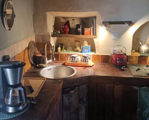 赛尼翁Entre Terre et Ciel.的厨房柜台设有水槽和搅拌机