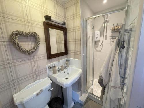南安普敦The Old Merchants House - The Highlands Room的一间带水槽、卫生间和镜子的浴室