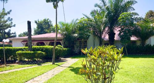恩德培Sunset Hotel Entebbe的棕榈树绿色庭院度假屋