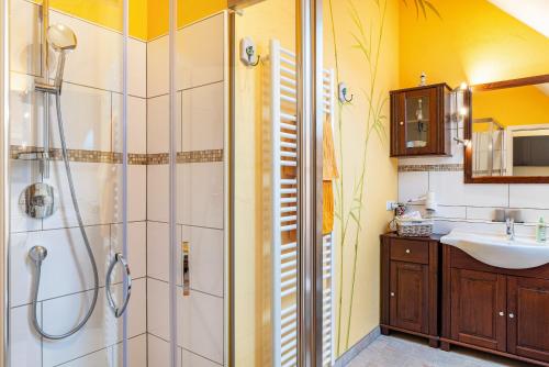 萨巴赫瓦登Schusterjunge Aparthotel A6的带淋浴和盥洗盆的浴室