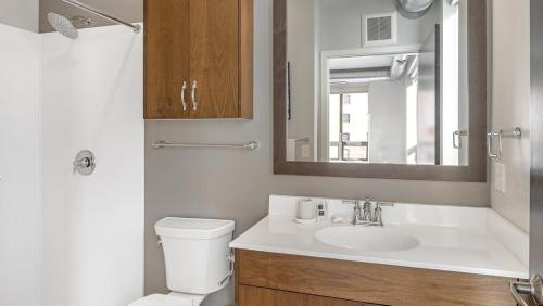 圣保罗Landing Modern Apartment with Amazing Amenities (ID1231X251)的一间带水槽、卫生间和镜子的浴室