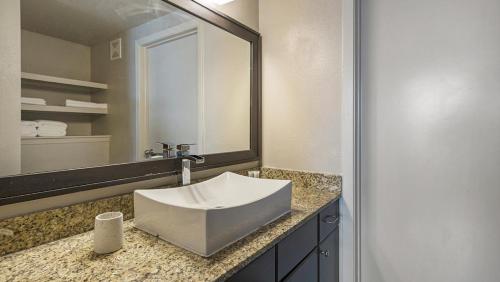 奥斯汀Landing Modern Apartment with Amazing Amenities (ID4179X58)的一间带水槽和大镜子的浴室