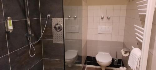 维斯洛赫伊芬酒店的带淋浴和卫生间的浴室