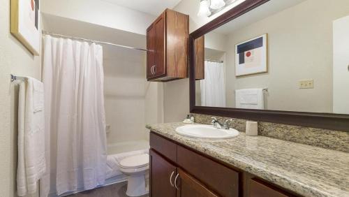 休斯顿Landing - Modern Apartment with Amazing Amenities (ID9254X75)的一间带水槽、卫生间和镜子的浴室