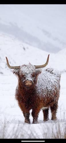 Ben Nevis Manor Lodge & Indoor Private Hot-Tub