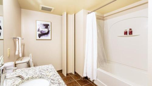 匹兹堡Landing - Modern Apartment with Amazing Amenities (ID1614X51)的带浴缸、盥洗盆和卫生间的浴室