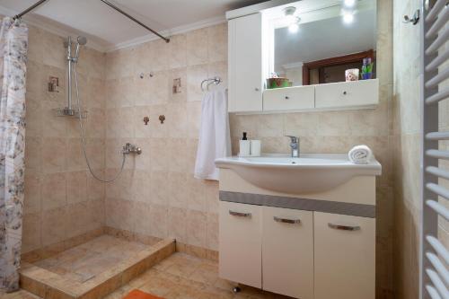 塞萨洛尼基Άνεση και ευκολία, σπίτι Συκιές.的一间带水槽和淋浴的浴室