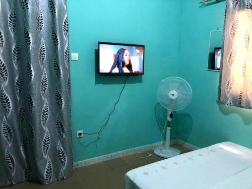 RufisqueLe Caire قاهرة的一间位于绿色墙壁上并配有电视的浴室