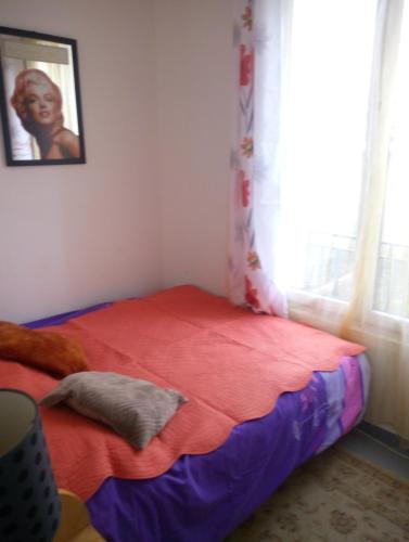 迈松阿尔福Ivone guest的一间卧室配有一张带红色毯子的床和窗户。