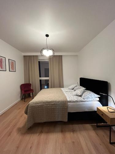 奥莱茨科Apartament Klonova dla dorosłych的一间卧室配有一张床和一个吊灯