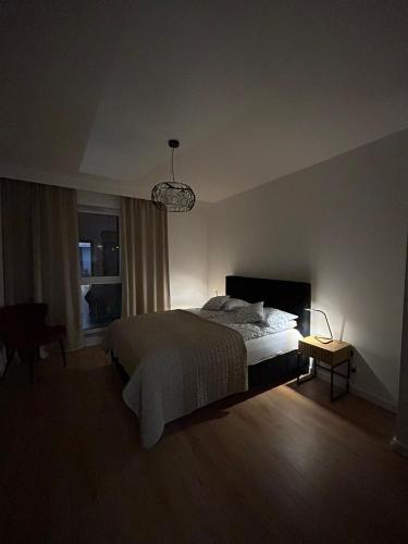 奥莱茨科Apartament Klonova dla dorosłych的一间卧室设有一张大床和一个窗户。