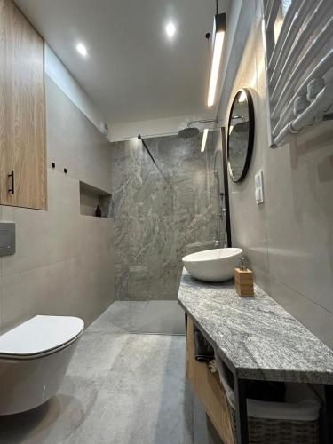 奥莱茨科Apartament Klonova dla dorosłych的一间带卫生间和水槽的浴室