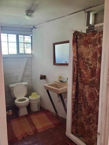蓬塔戈尔达Schmidt’s Natures Way Guesthouse的一间带卫生间和水槽的浴室