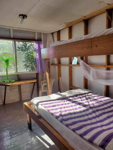 蓬塔戈尔达Schmidt’s Natures Way Guesthouse的一间卧室配有双层床和窗户。