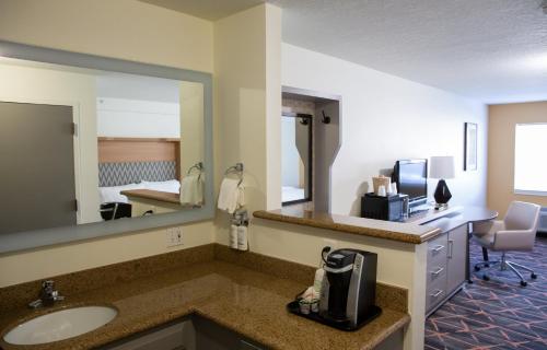 雷丁雷丁假日酒店的一间带水槽和镜子的浴室