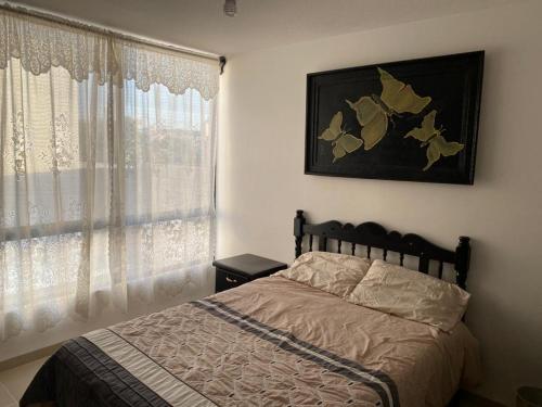 圣路易斯波托西Casa de Bryanna的一间卧室设有一张床和一个窗口