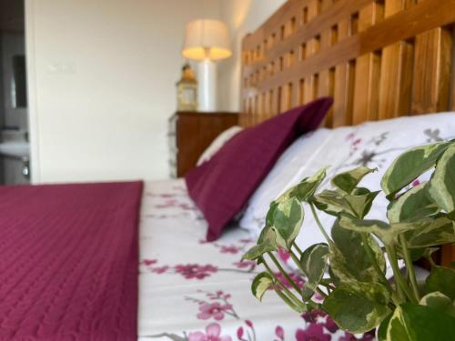 波戈马洛Sun Kissed Holidays Dabolim Goa Gold的一张带紫色枕头的床和一株植物