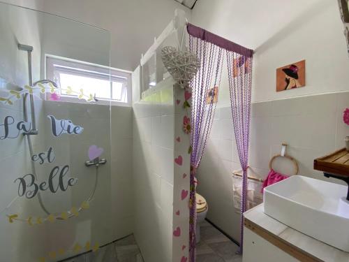 特鲁欧克比赫斯Chambre D'hote PLACE DES AMOUREUX的带淋浴和盥洗盆的浴室