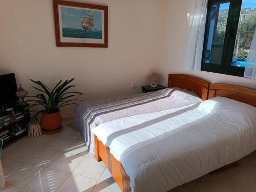凯法利尼亚岛Villa Margaux Karavados的一间卧室设有两张床和盆栽植物