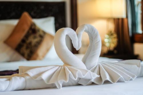 拜县派哈加旅馆的两只白天鹅坐在床上