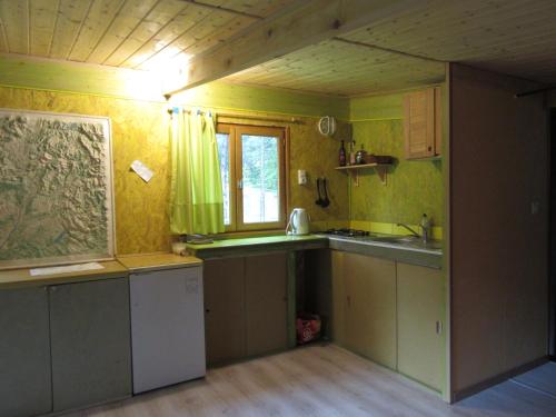 韦尔东河畔拉帕吕sous les arbres的厨房设有绿色的墙壁、橱柜和窗户。
