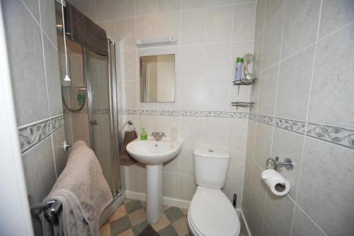 多尔盖罗多文奥丽雯旅馆的一间带卫生间和水槽的浴室