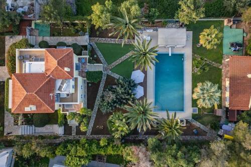 爱琴娜岛Villa Elmar的享有带游泳池的房屋的空中景致