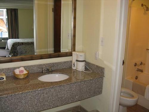 Lewisburg行走马小屋旅馆的一间带水槽、卫生间和镜子的浴室