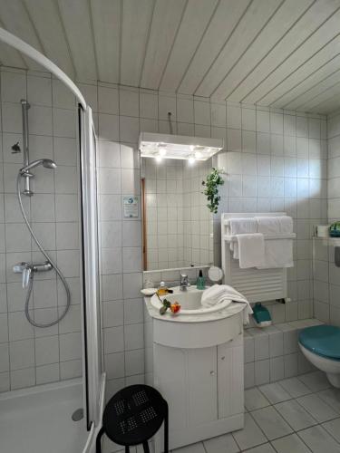 多贝尔海蒂膳食公寓的白色的浴室设有水槽和淋浴。