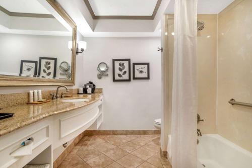 梅泰里梅泰里（新奥尔良）卡尔森乡村酒店的一间带水槽和淋浴的浴室