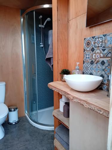 Long MartonSunny Mount Glamping Pod的一间带水槽和淋浴的浴室