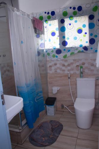 马普托Platina House的一间带卫生间和水槽的浴室