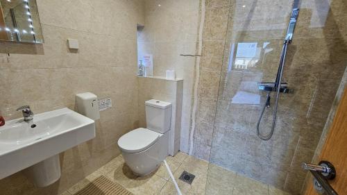 Saint BrewardTrippett Cottage的带淋浴、卫生间和盥洗盆的浴室