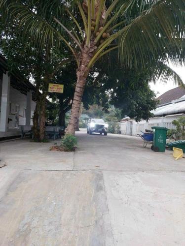 富国Nhà Nghỉ Tốt Hơn的停车场内棕榈树下停泊的汽车
