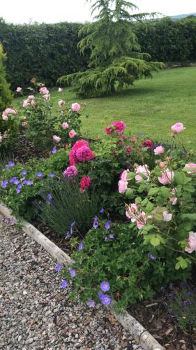 YeofordRock Park Farm B&B的鲜花盛开的粉红色和紫色花卉花园