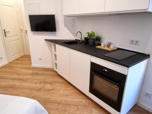 卡尔斯鲁厄Modernes Apartment im Zentrum von Karlsruhe的厨房配有黑色台面和水槽