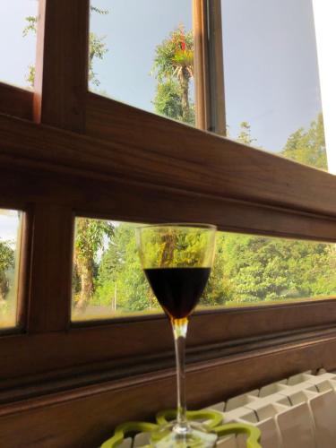 格拉玛多Flat Gramado Home Sweet Home的坐在窗户前的一杯葡萄酒