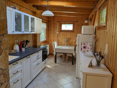 巴拉顿诺尔马迪Gabi háza的厨房配有白色冰箱和桌子