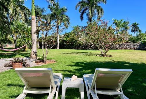 拉斯加勒拉斯Garden house by Petraki的两把白色椅子坐在棕榈树草坪上